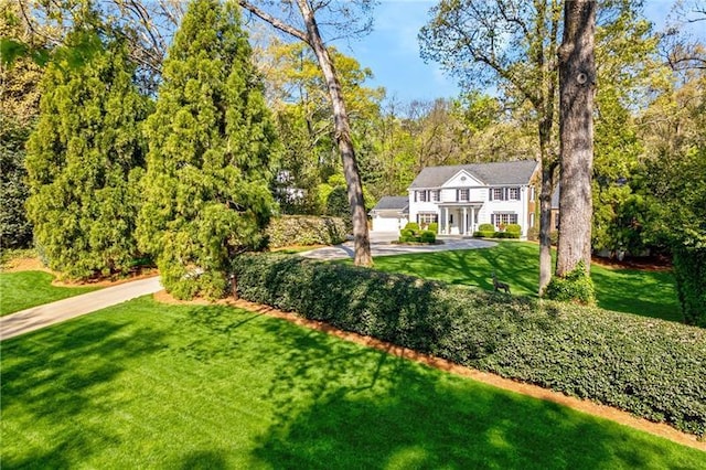 view of green lawn