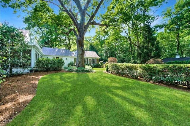 view of grassy yard