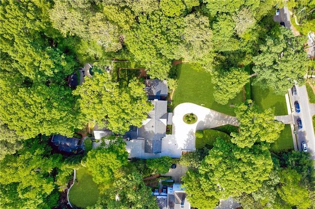 aerial view