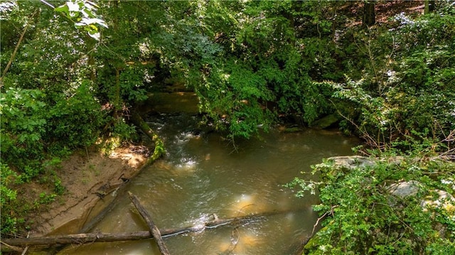 5584 Northwoods Rd, Clermont, GA 30527 - water view