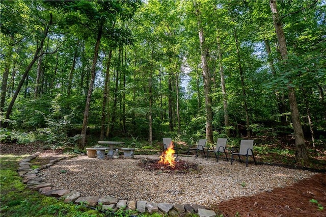 5584 Northwoods Rd, Clermont, GA 30527 - view of yard featuring a fire pit