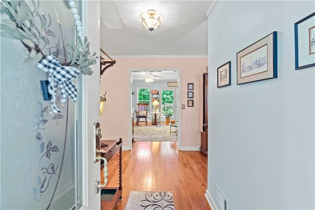 5584 Northwoods Rd, Clermont, GA 30527 - foyer with light wood finished floors, ceiling fan, ornamental molding, and baseboards