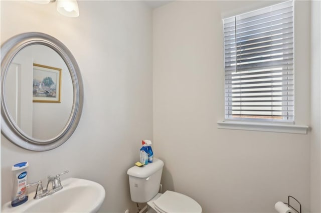 bathroom featuring toilet and a sink