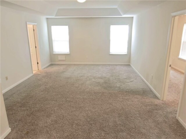 empty room featuring light carpet, plenty of natural light, and a raised ceiling