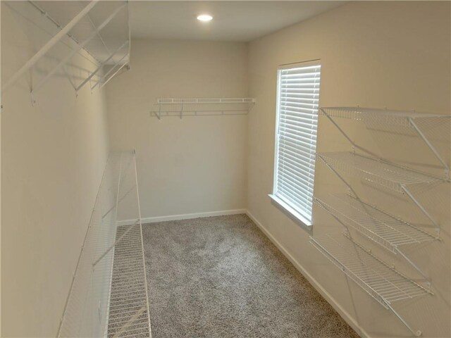 walk in closet with carpet