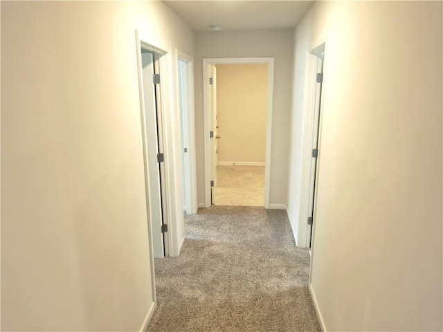 hall featuring light colored carpet