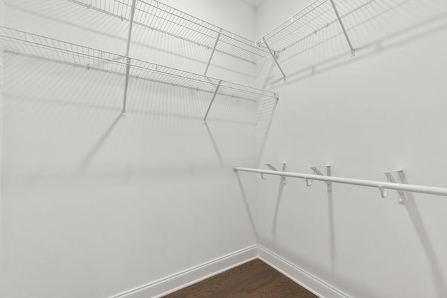 walk in closet featuring wood-type flooring