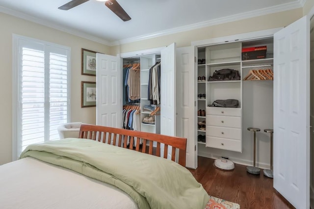 bedroom featuring multiple windows, dark wood-style flooring, and crown molding