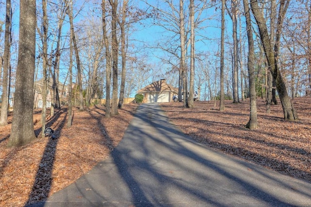 view of road with aphalt driveway