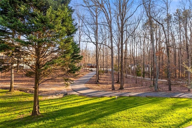 view of property's community with a lawn