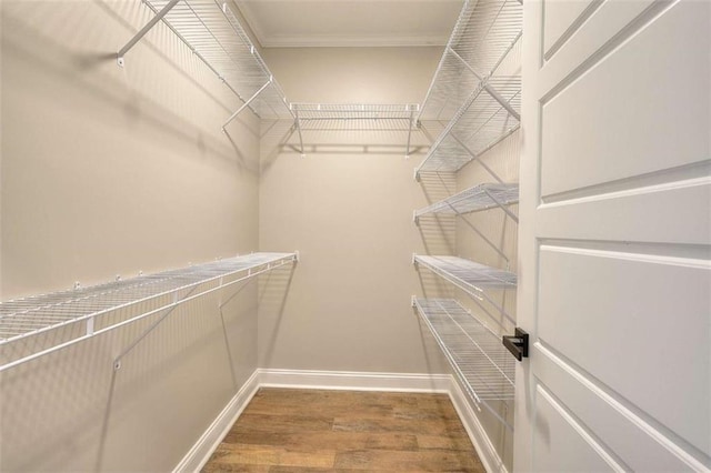 walk in closet featuring hardwood / wood-style floors