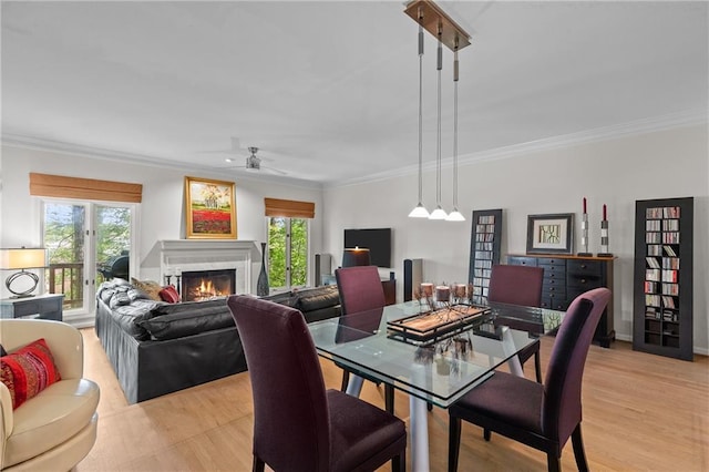 dining space with ornamental molding, a warm lit fireplace, ceiling fan, and a healthy amount of sunlight