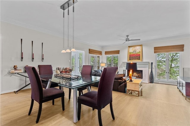 dining area featuring crown molding, light wood-type flooring, a ceiling fan, and a lit fireplace