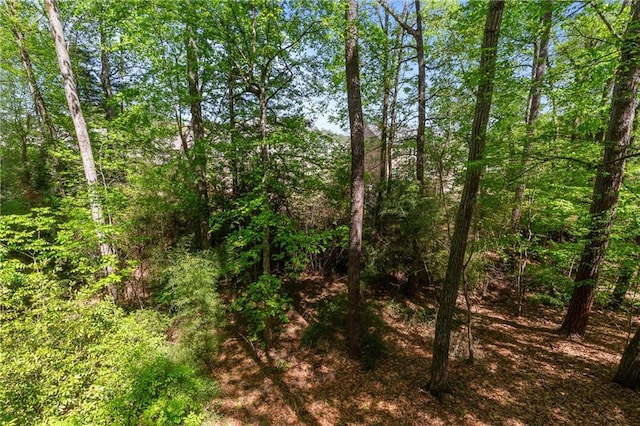 view of local wilderness featuring a view of trees