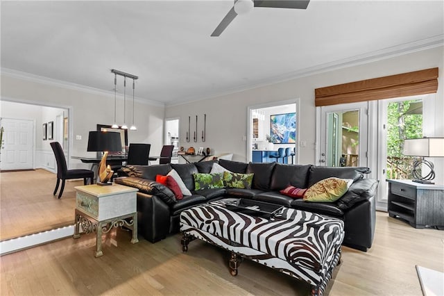 living room featuring ceiling fan, light wood-style floors, and ornamental molding