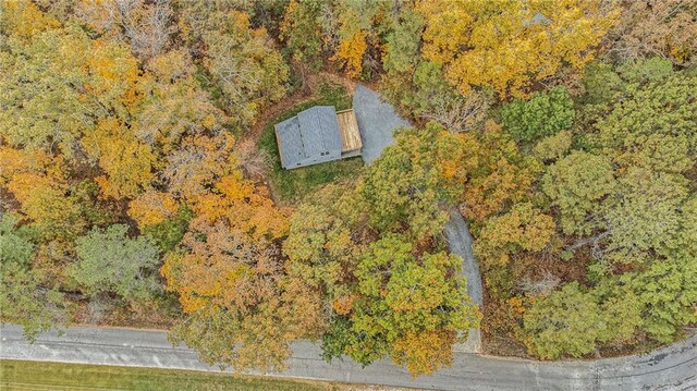 back of property with a shingled roof, a patio, and a wooden deck