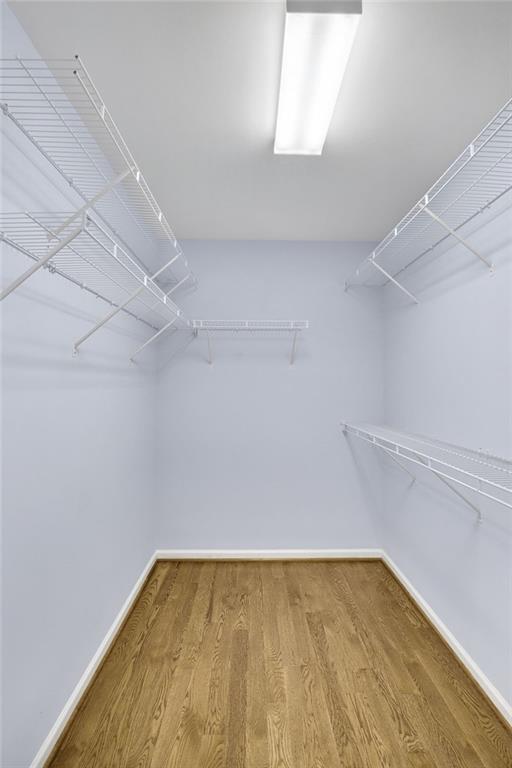 spacious closet featuring wood finished floors