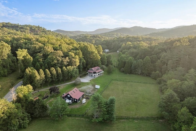 328 Black Ankle Creek Rd, Cherry Log, GA 30522 - bird's eye view featuring a mountain view