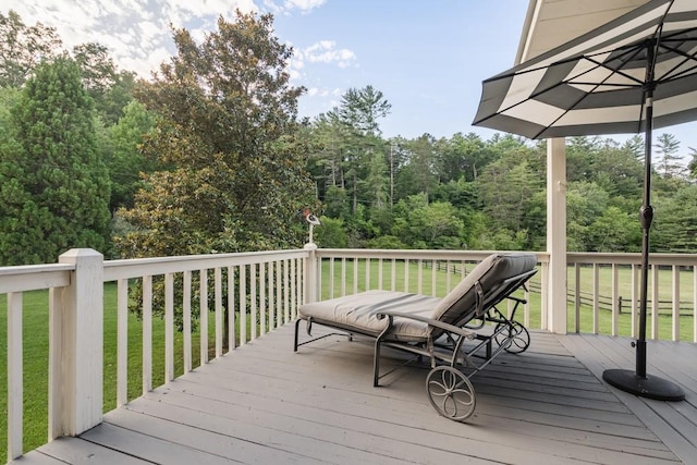 328 Black Ankle Creek Rd, Cherry Log, GA 30522 - wooden terrace with a lawn