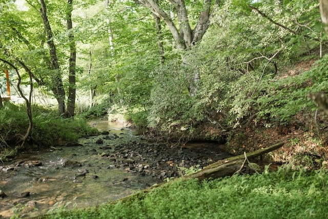 328 Black Ankle Creek Rd, Cherry Log, GA 30522 - view of local wilderness