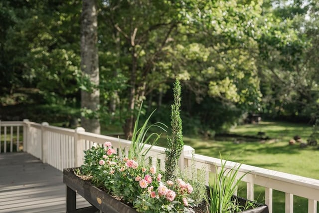 328 Black Ankle Creek Rd, Cherry Log, GA 30522 - wooden deck with a yard