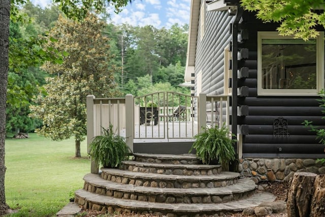 328 Black Ankle Creek Rd, Cherry Log, GA 30522 - exterior space