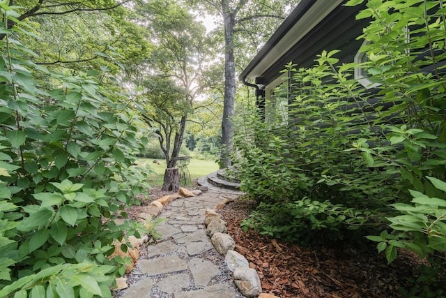 328 Black Ankle Creek Rd, Cherry Log, GA 30522 - view of yard