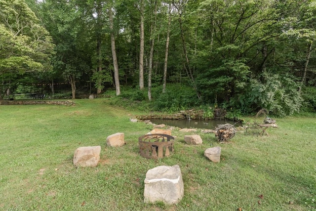 328 Black Ankle Creek Rd, Cherry Log, GA 30522 - view of yard featuring a water view