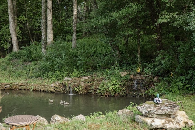 328 Black Ankle Creek Rd, Cherry Log, GA 30522 - property view of water