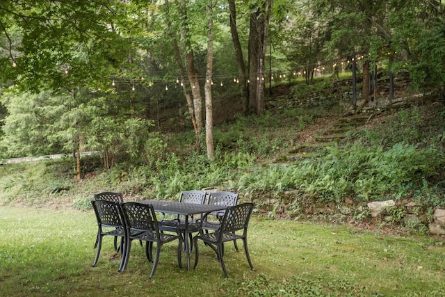 328 Black Ankle Creek Rd, Cherry Log, GA 30522 - view of yard