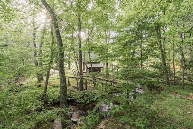 328 Black Ankle Creek Rd, Cherry Log, GA 30522 - view of local wilderness