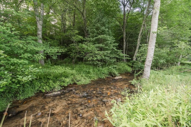 328 Black Ankle Creek Rd, Cherry Log, GA 30522 - view of local wilderness
