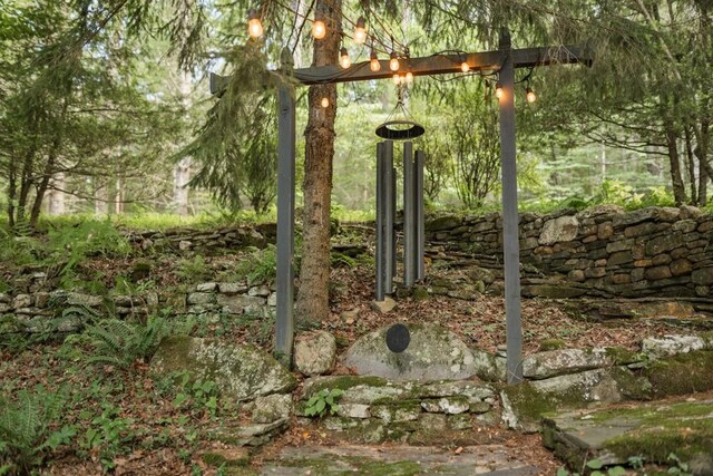 328 Black Ankle Creek Rd, Cherry Log, GA 30522 - view of local wilderness