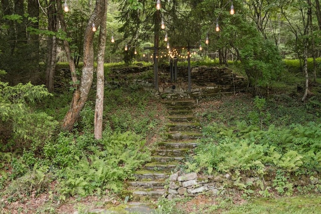 328 Black Ankle Creek Rd, Cherry Log, GA 30522 - view of nature