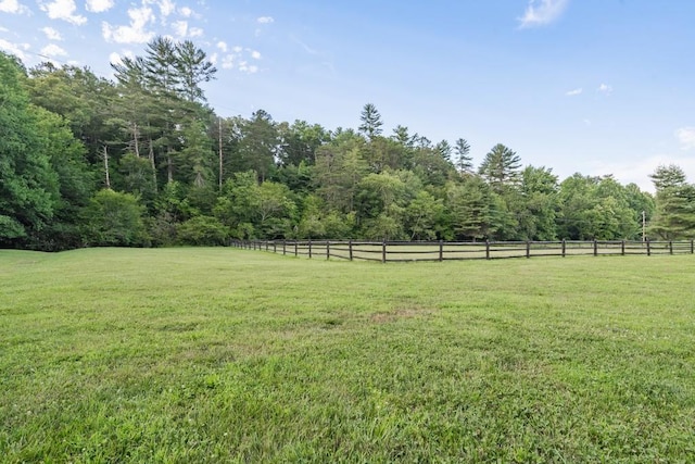 328 Black Ankle Creek Rd, Cherry Log, GA 30522 - view of yard featuring a rural view