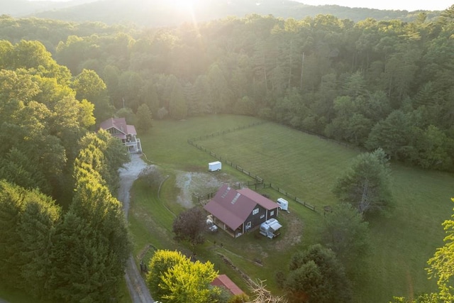 328 Black Ankle Creek Rd, Cherry Log, GA 30522 - bird's eye view with a rural view