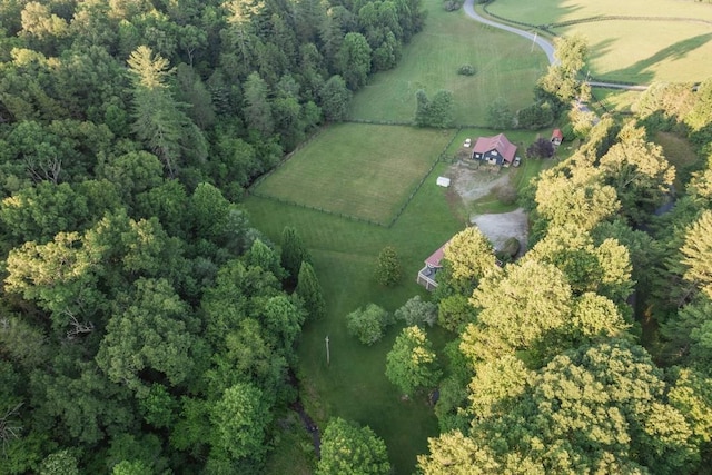 328 Black Ankle Creek Rd, Cherry Log, GA 30522 - drone / aerial view