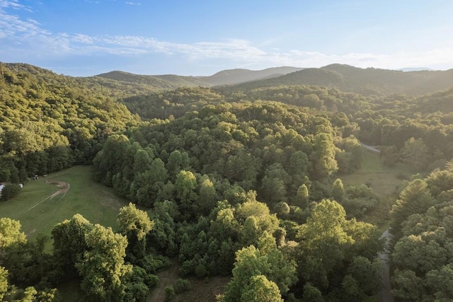 328 Black Ankle Creek Rd, Cherry Log, GA 30522 - property view of mountains