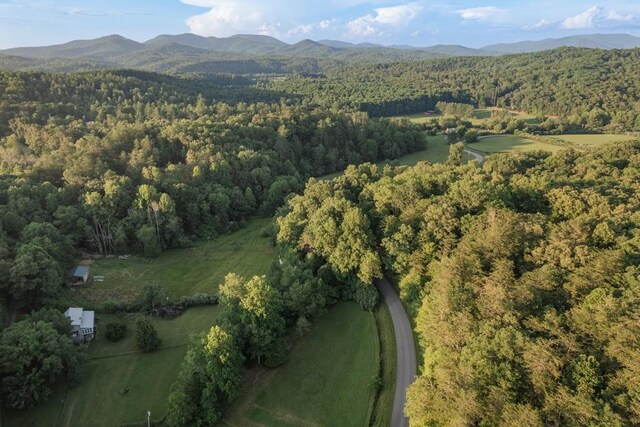 328 Black Ankle Creek Rd, Cherry Log, GA 30522 - aerial view with a mountain view