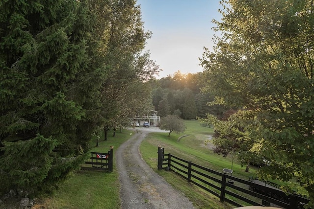 328 Black Ankle Creek Rd, Cherry Log, GA 30522 - view of road