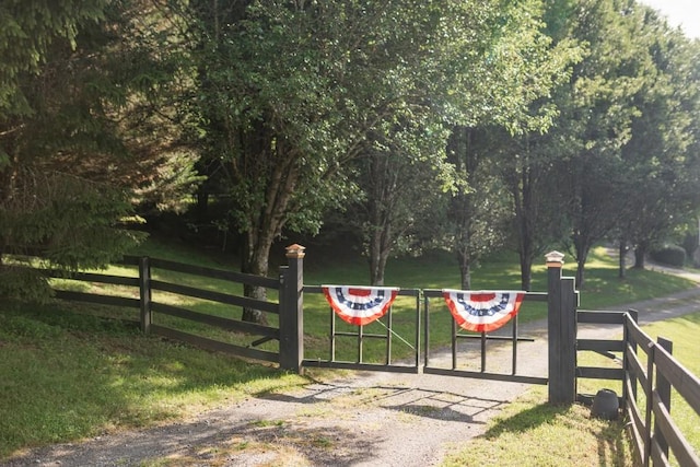 328 Black Ankle Creek Rd, Cherry Log, GA 30522 - view of gate with a lawn