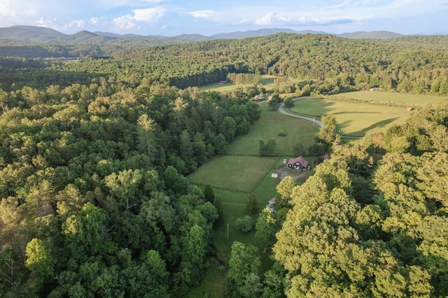 328 Black Ankle Creek Rd, Cherry Log, GA 30522 - bird's eye view featuring a mountain view