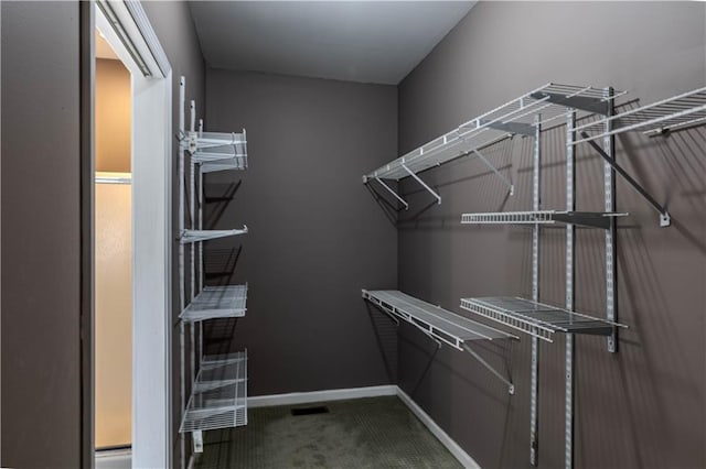 walk in closet featuring carpet flooring