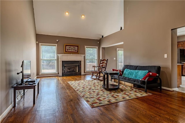 living area with plenty of natural light, a high ceiling, a fireplace, and wood finished floors