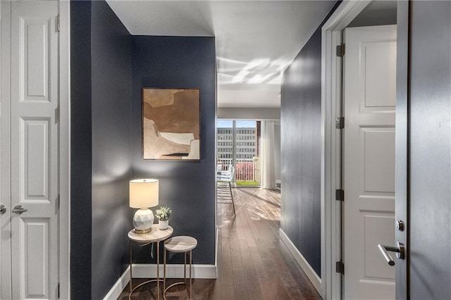 hallway with dark hardwood / wood-style floors