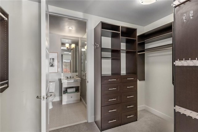 spacious closet featuring sink and light carpet