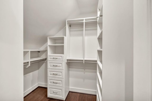 spacious closet with dark wood-style floors