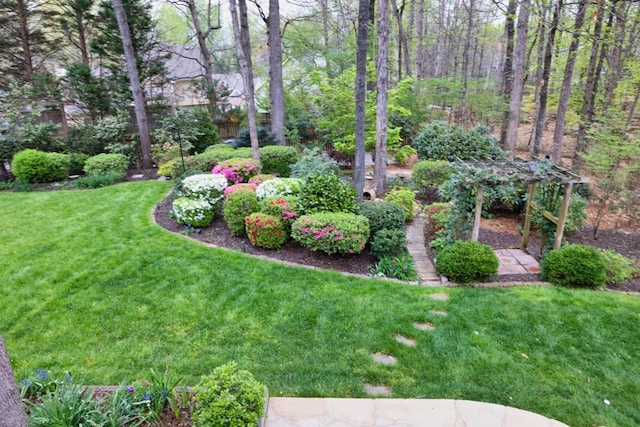 view of yard