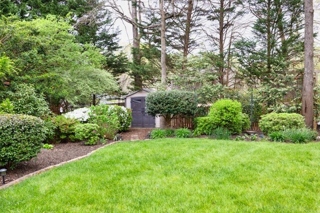 view of yard featuring a storage shed and an outdoor structure