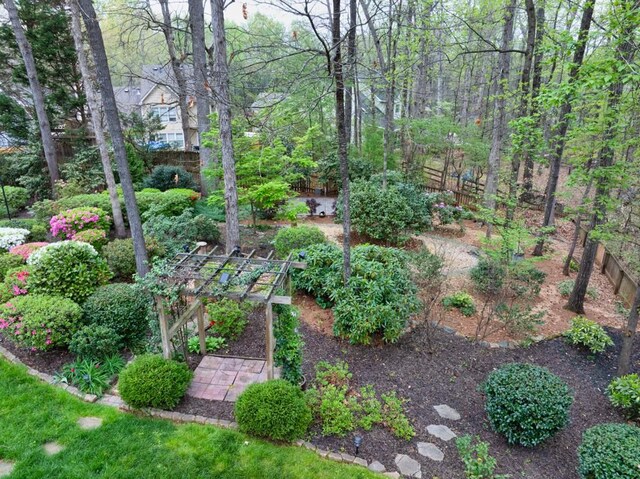 view of yard with a vegetable garden